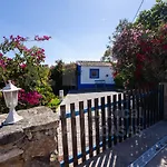 Casa Azul Da Relva By Acasadascasas Mafra